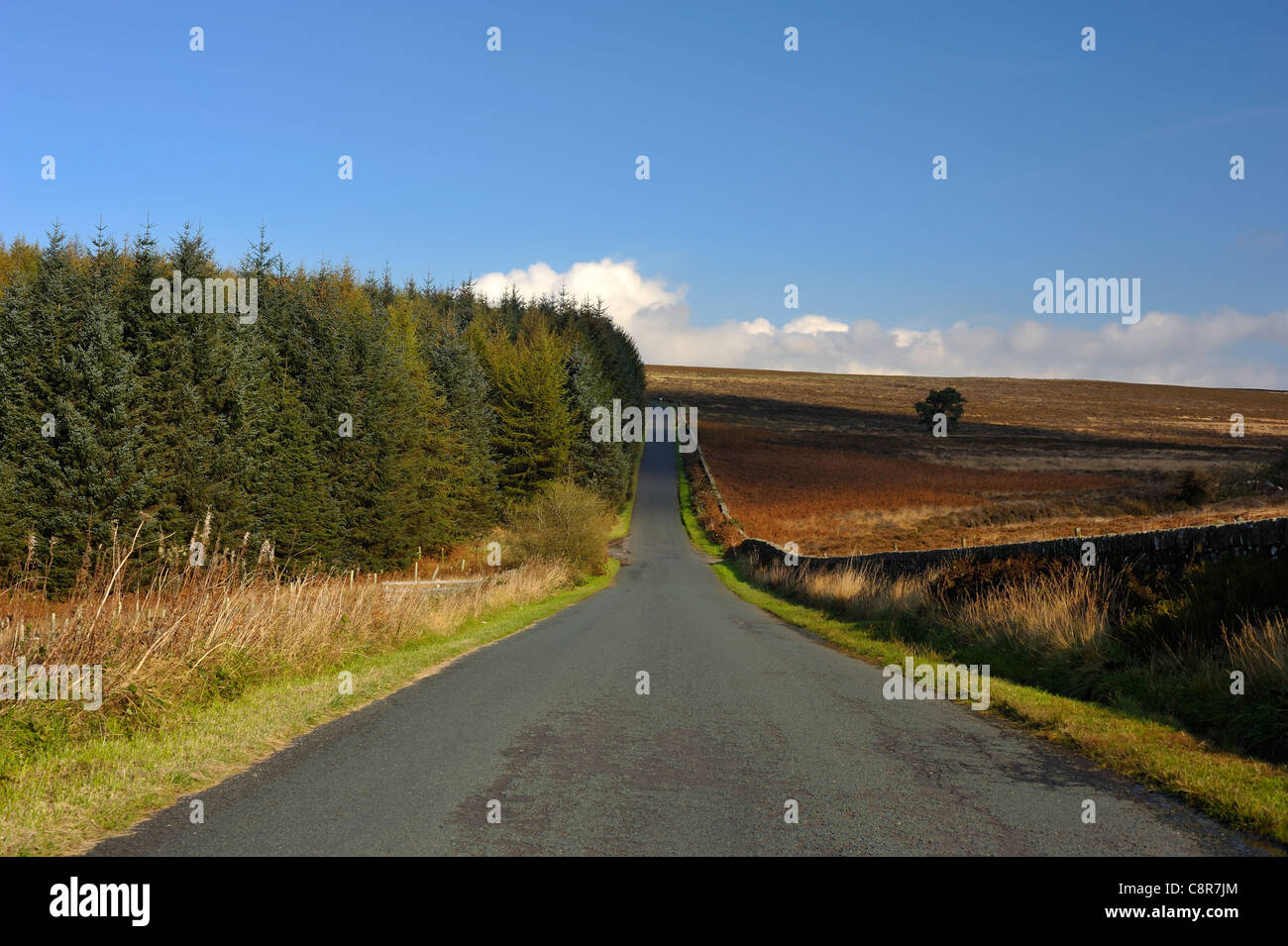 The road over Longridge Fell,Lancashire Stock Photo Alamy