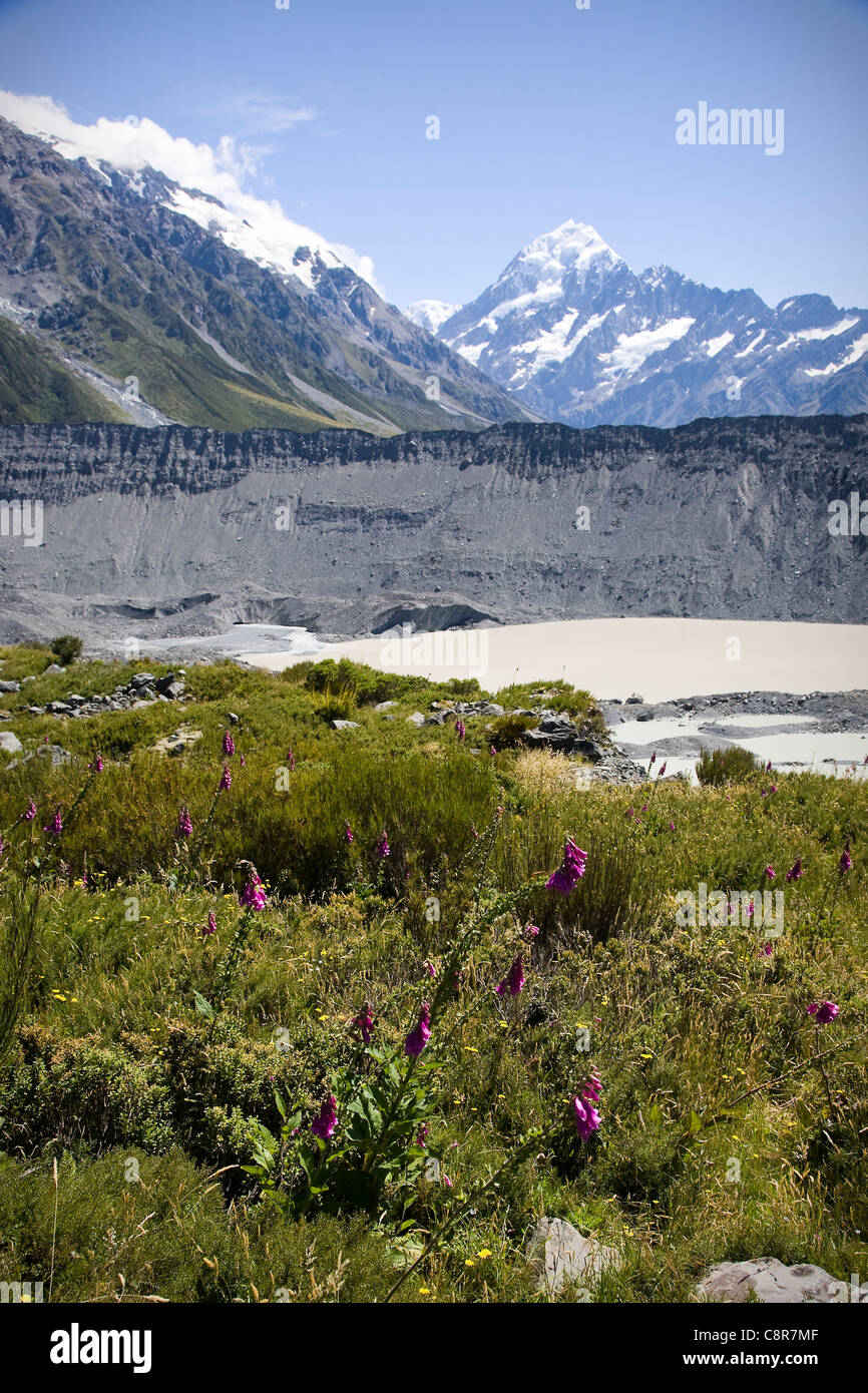 View of Mount Cook, New Zealand Stock Photo