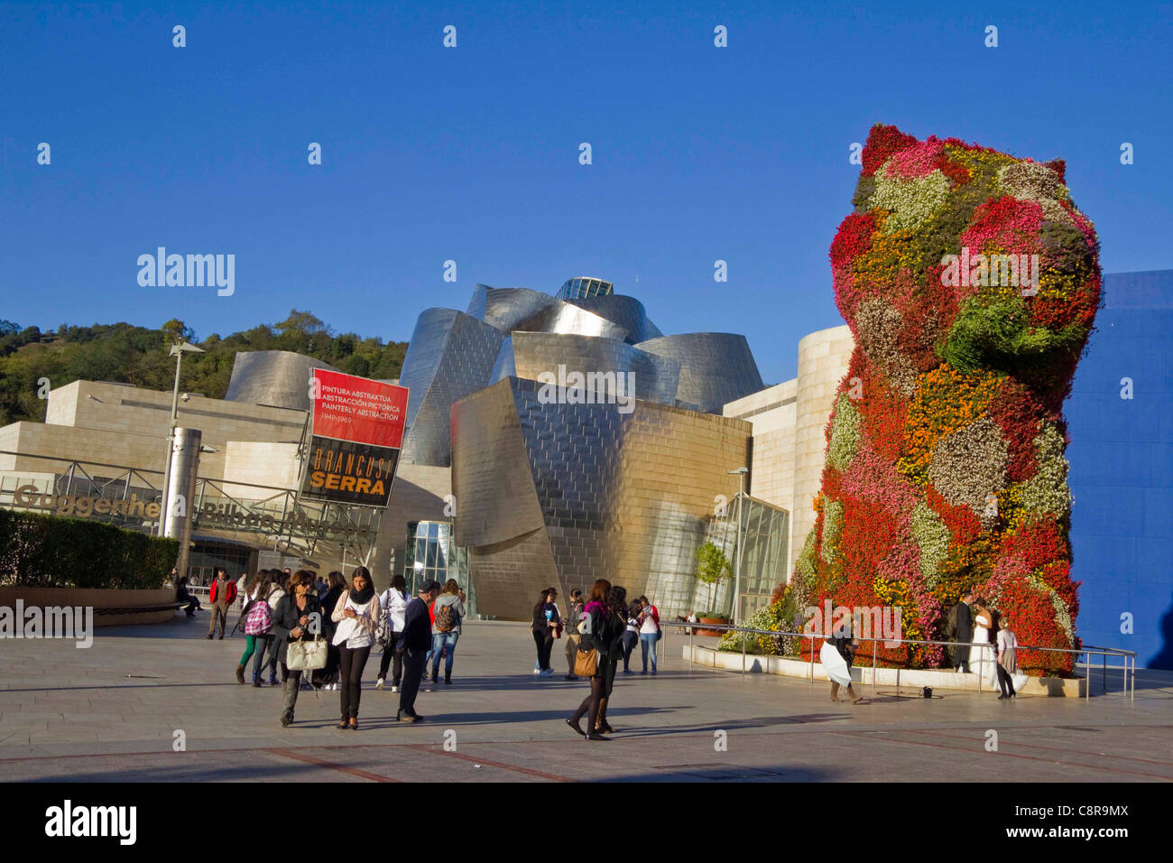 Topiary sculpture "Puppy" outside the Guggenheim Museum, Bilbao Stock Photo