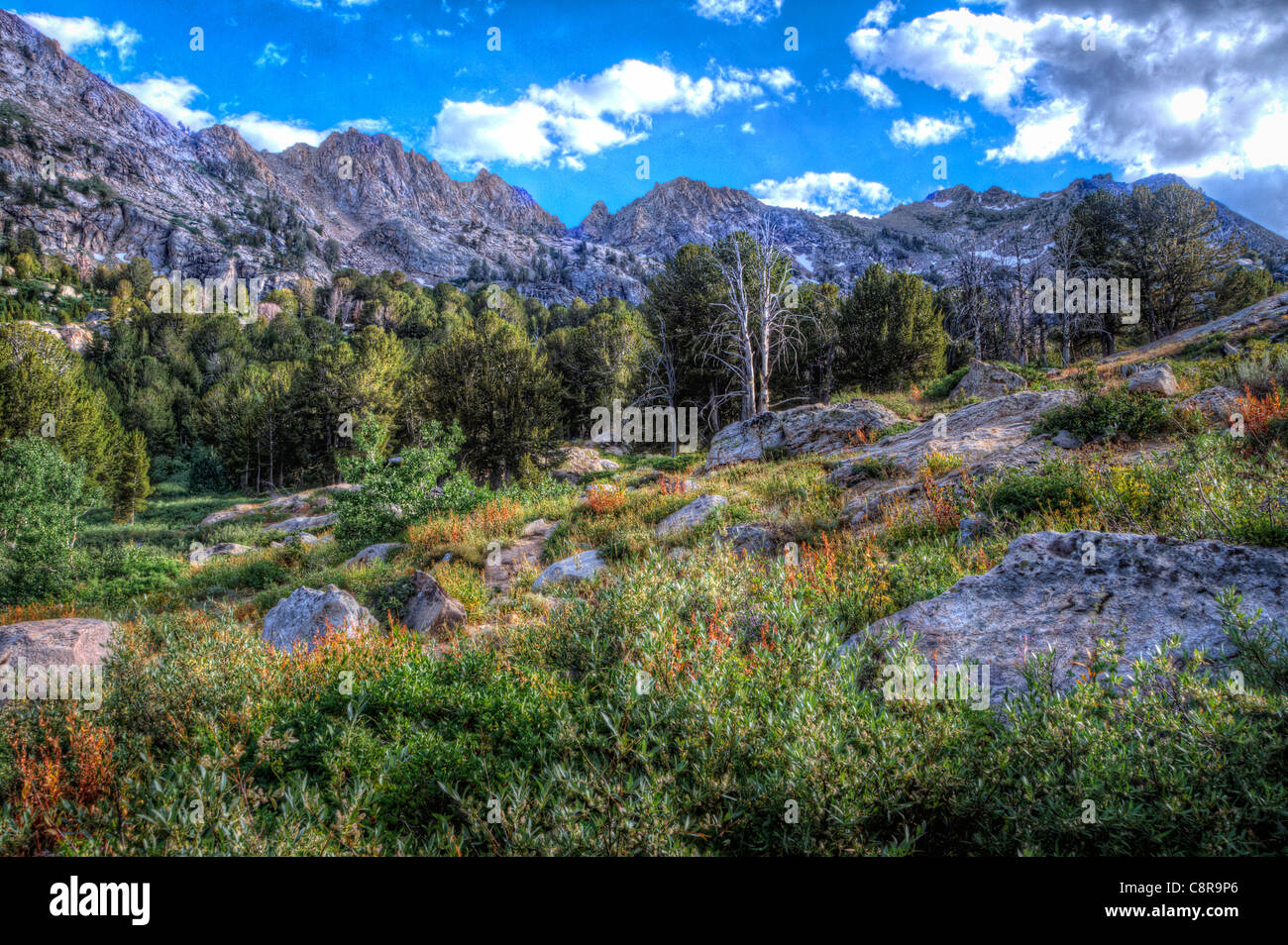 Ruby Mountains near Elko Nevada Stock Photo