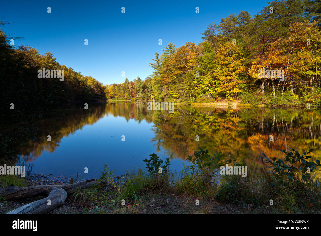 Dahlonega ga hi-res stock photography and images - Alamy