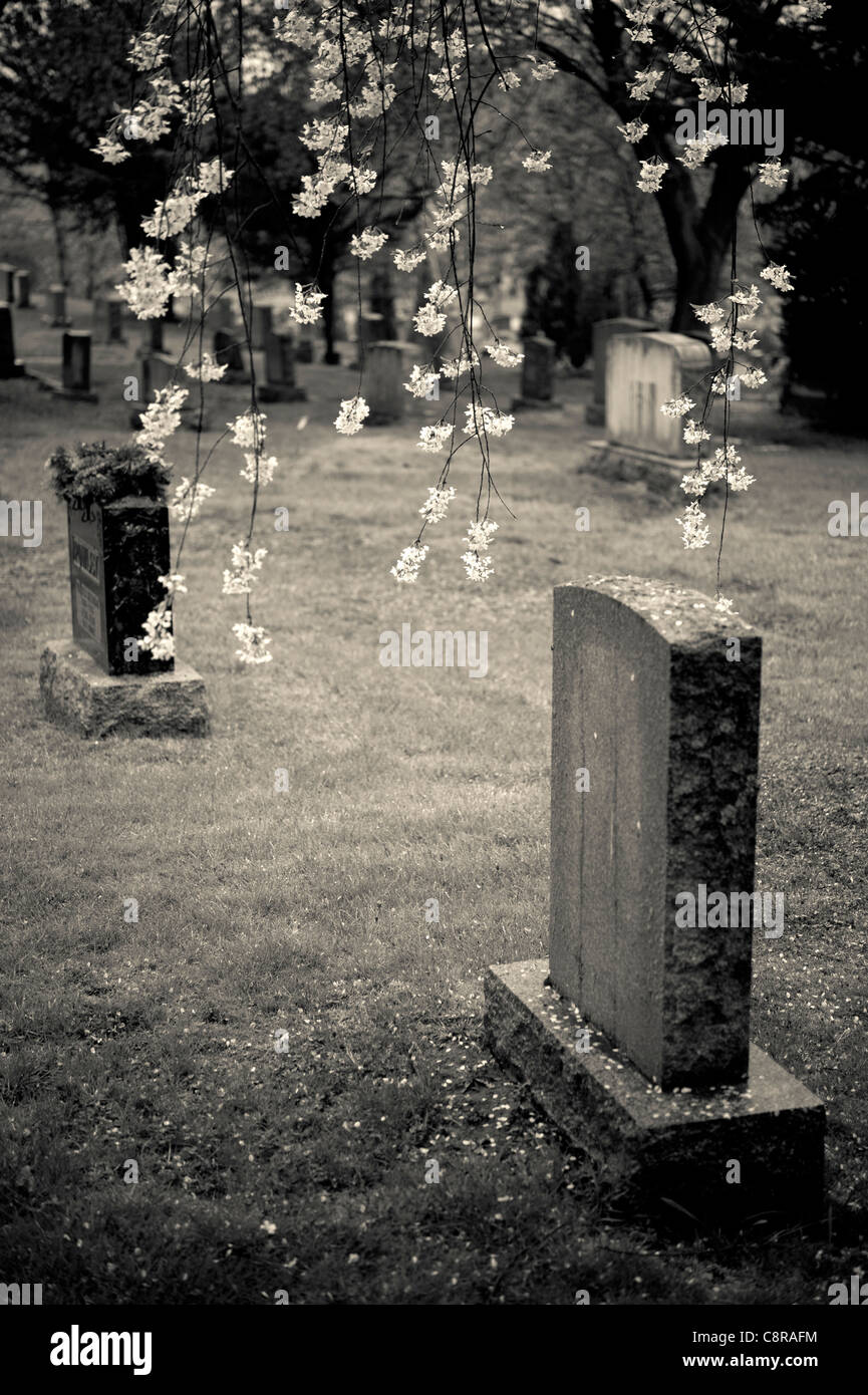 Cemetery in Oakville, Ontario, Canada Stock Photo