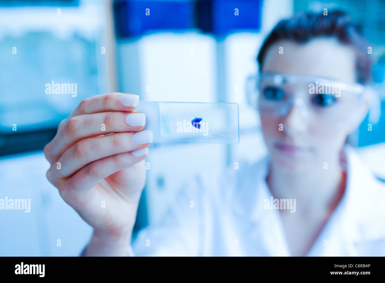 Science student looking at a microscope slide Stock Photo - Alamy