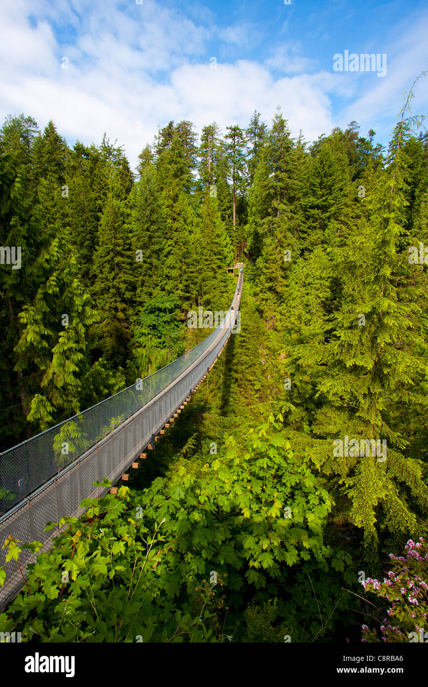 Capilano suspension bridge, Vancouver, Canada Stock Photo Alamy