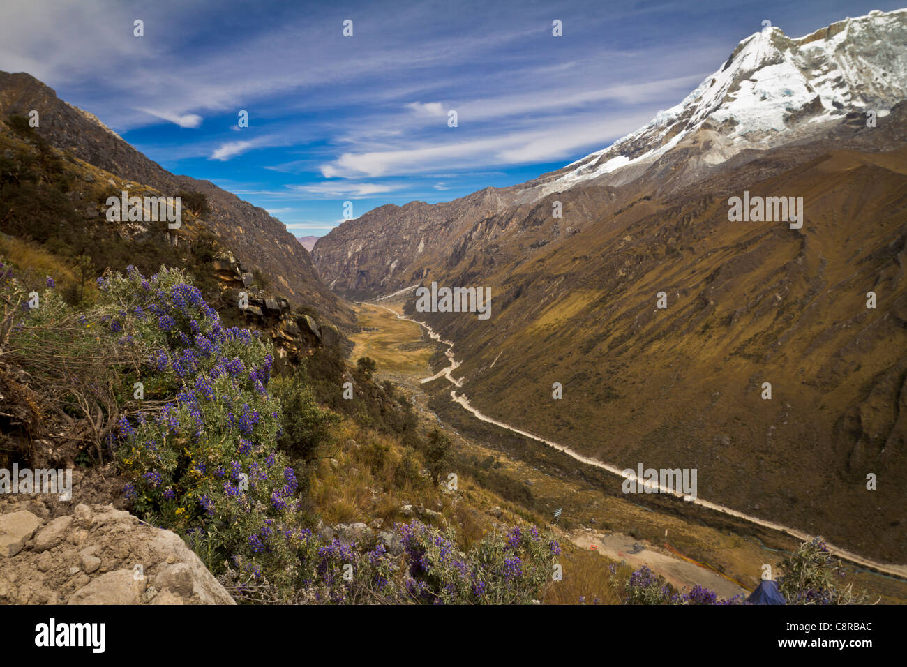 peru andes landscape travel view sky snow flowers Stock Photo