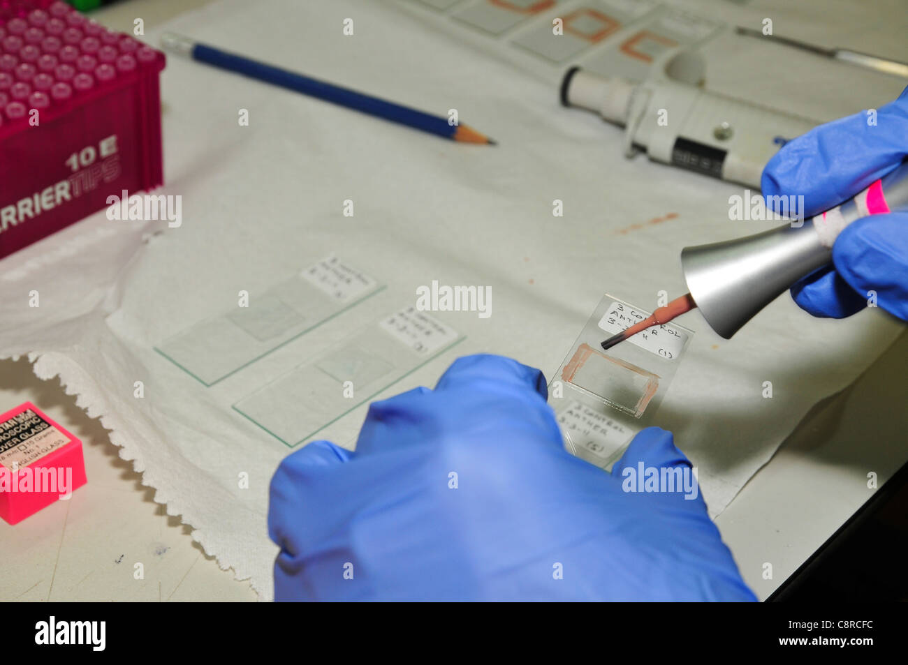 preparing sample slides to view under an optical microscope. Nail