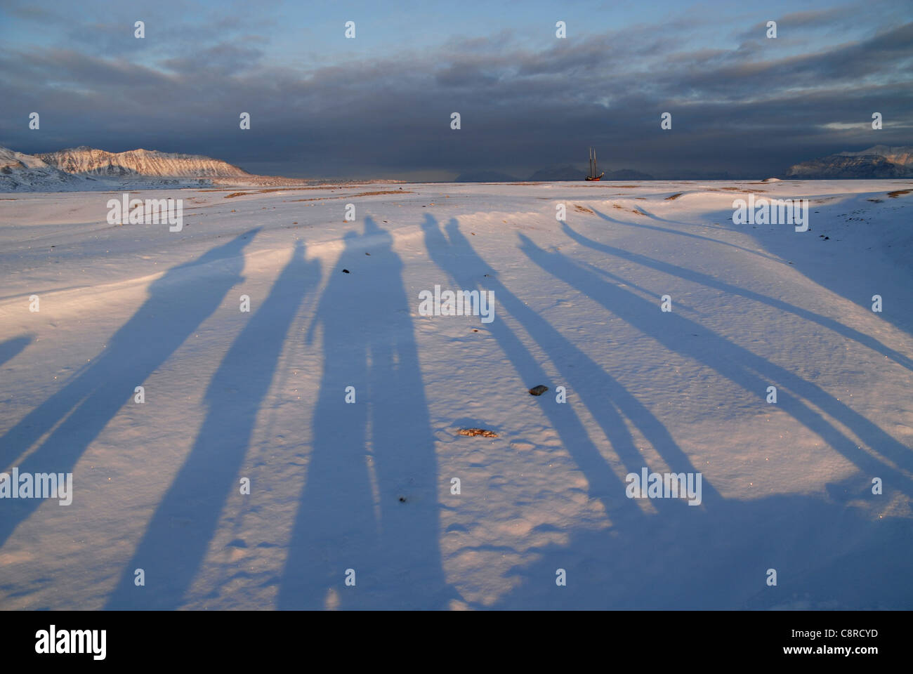 Long shadows of a group after sunrise in the snow Recherchebreen, Recherchefjord, Spitsbergen Stock Photo