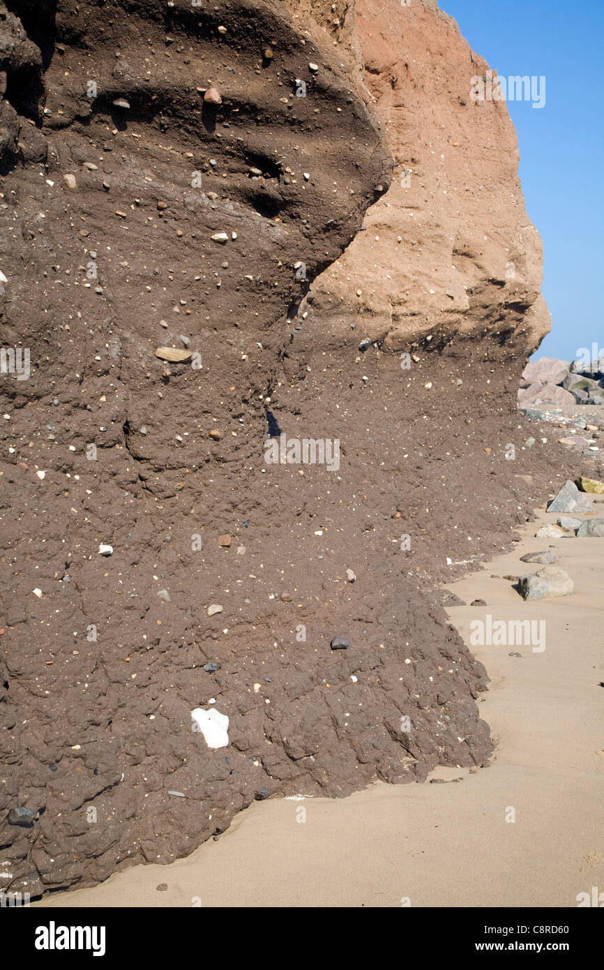 Rapidly eroding boulder clay cliffs on the Holderness coast, Mappleton, Yorkshire, England Stock Photo
