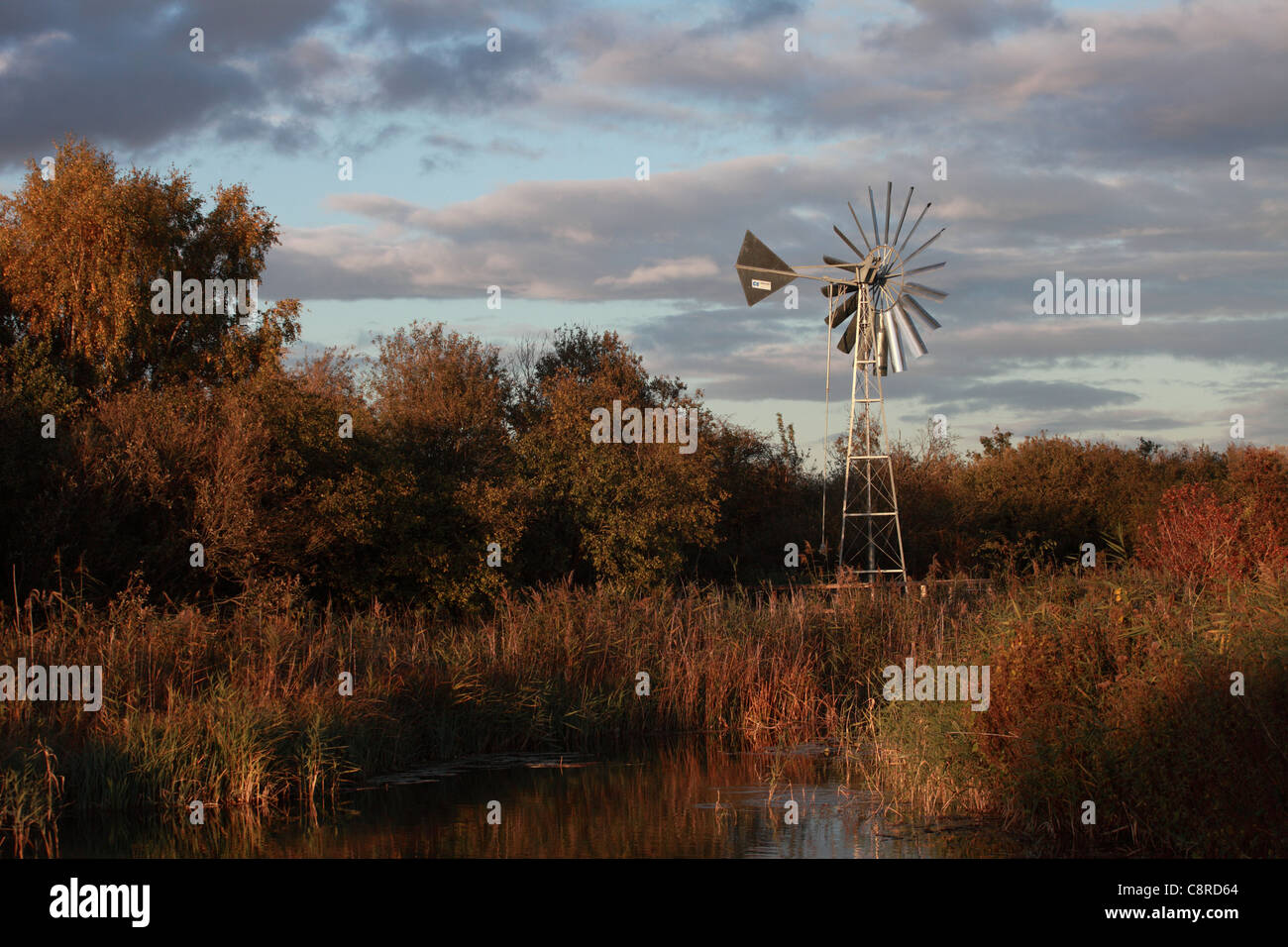Wind powered water pump for irrigation, Wicken Fen, Cambridgeshire, UK