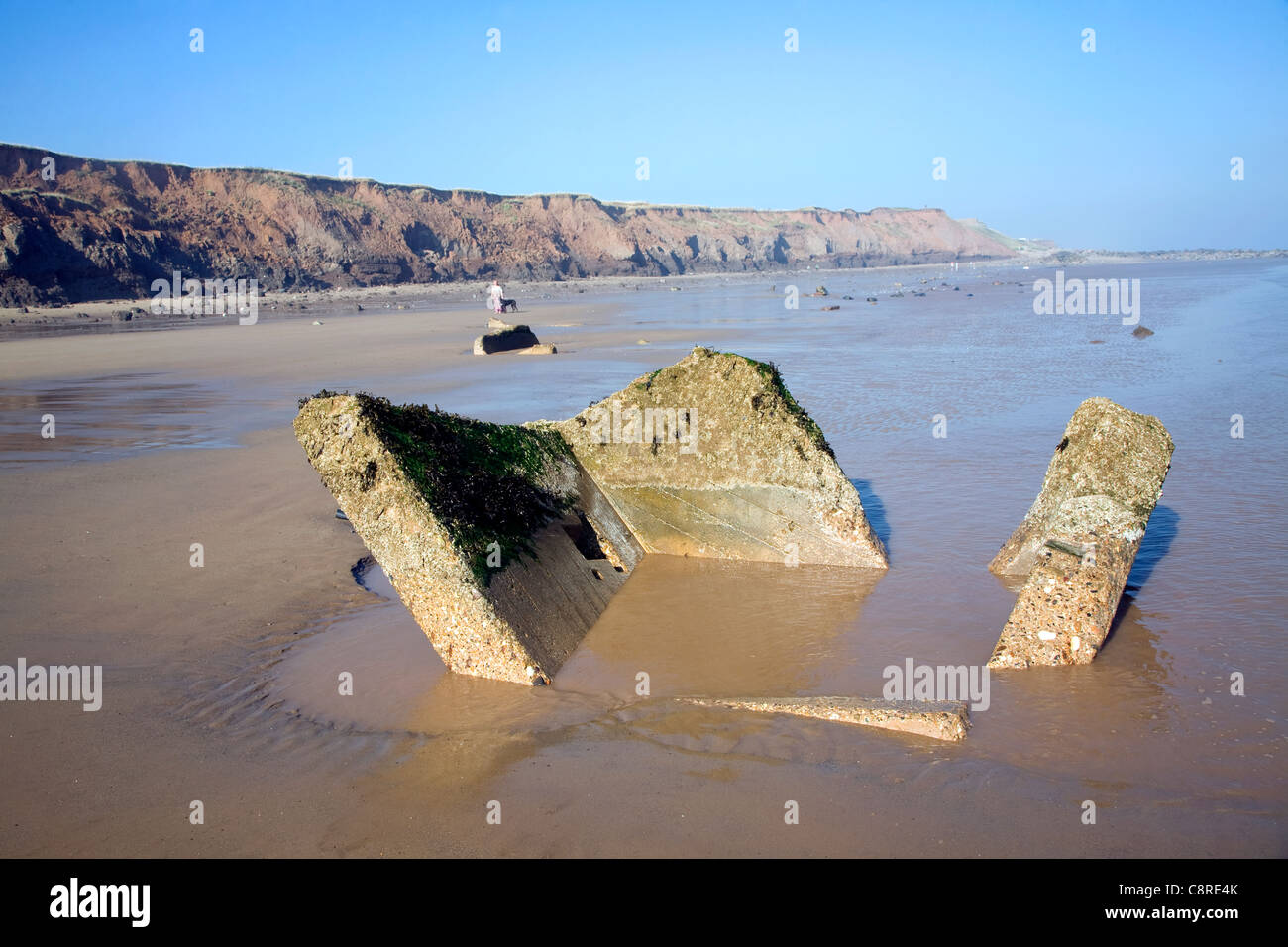 Rapidly eroding boulder clay cliffs on the Holderness coast, Mappleton