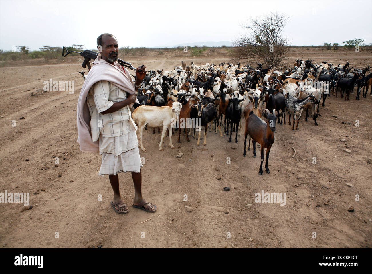 Ethiopian shepherd protects his herd with a gun Stock Photo