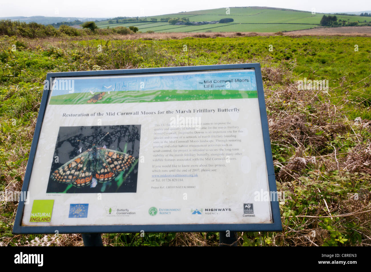 A sign on Tregonetha Downs in mid-Cornwall details the restoration of the area to conserve the Marsh Fritillary Butterfly Stock Photo