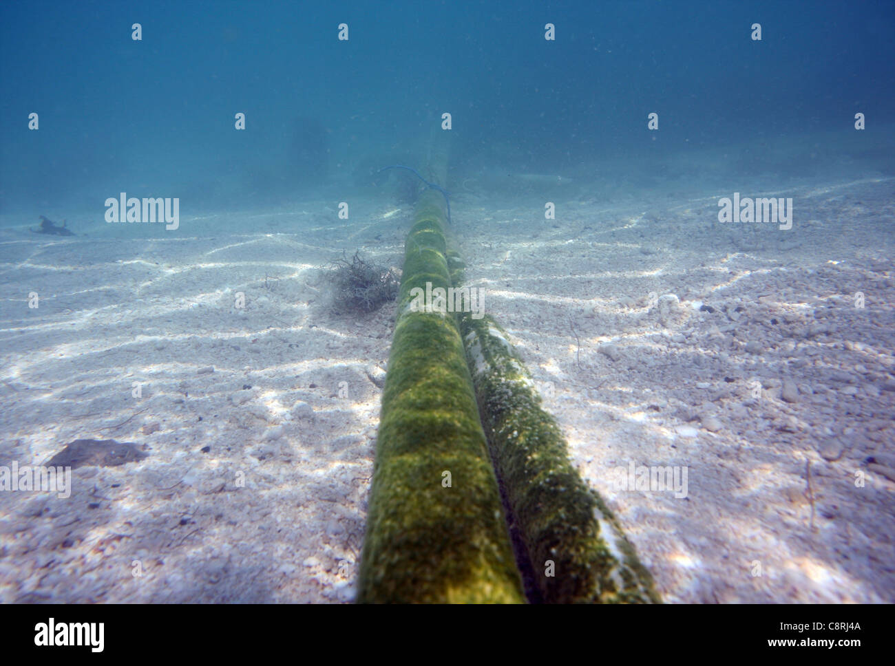 underwater cable near Tuvalu Stock Photo Alamy