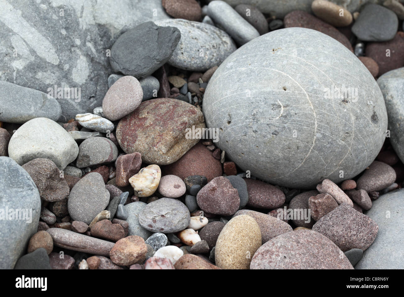 Close up of pebbles on Kilve Beach, Somerset, England Stock Photo