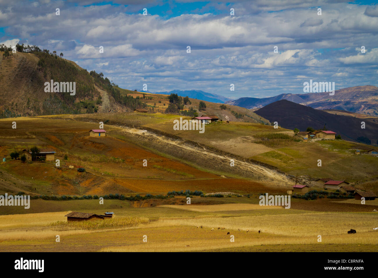 andes farm landscape house grass clouds mountain Stock Photo