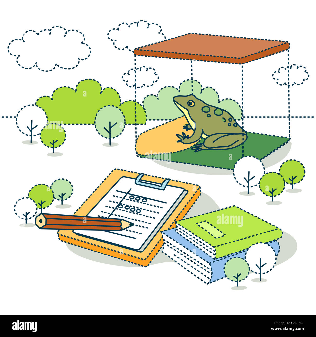 Illustration of frog for scientific experiment with books Stock Photo