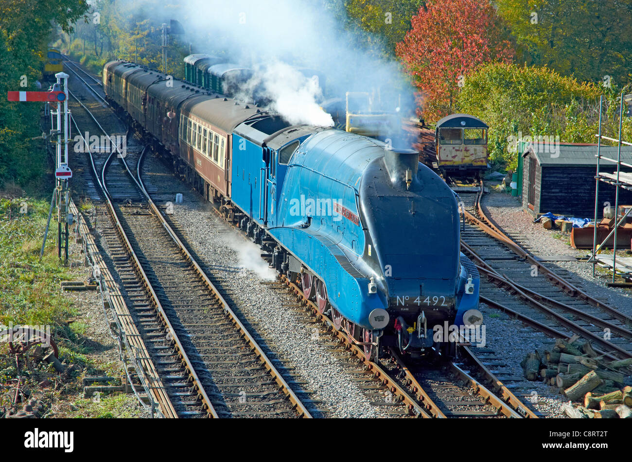 Mid-Hants Railway Autumn Gala 28/10/11. Stock Photo