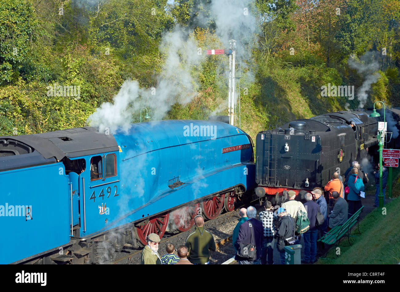 Mid-Hants Railway Autumn Gala 28/10/11. A 4 class pacific and a 9F ...