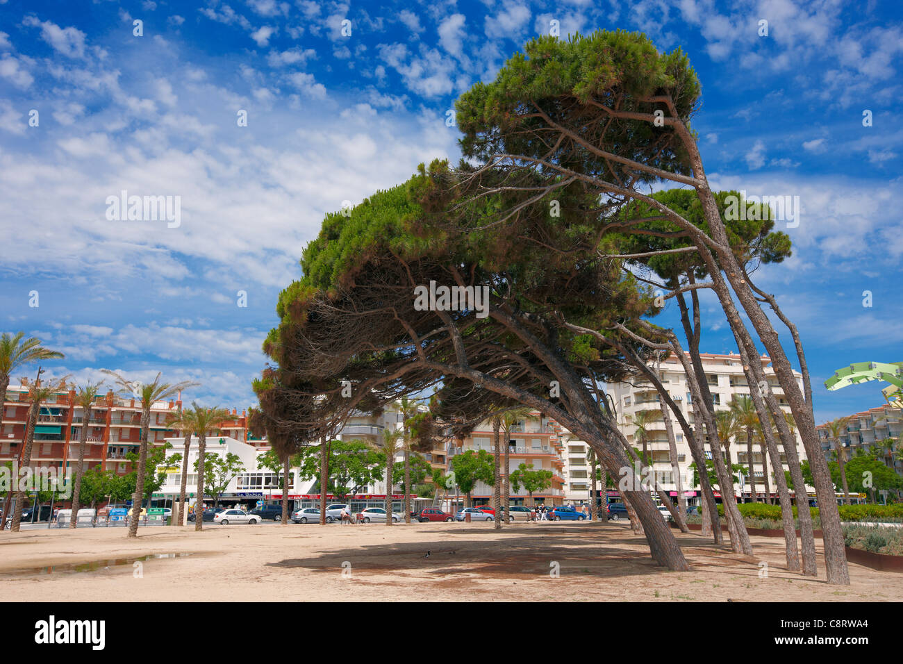 La Pineda. Costa Dorada, Catalonia, Spain Stock Photo Alamy