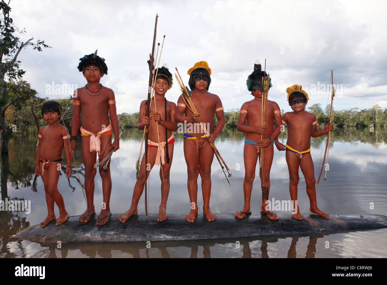 xingu native 