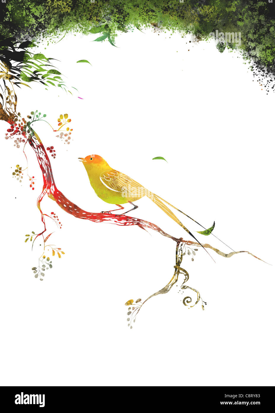 Bird Sitting On Branch Of Tree Stock Photo - Alamy