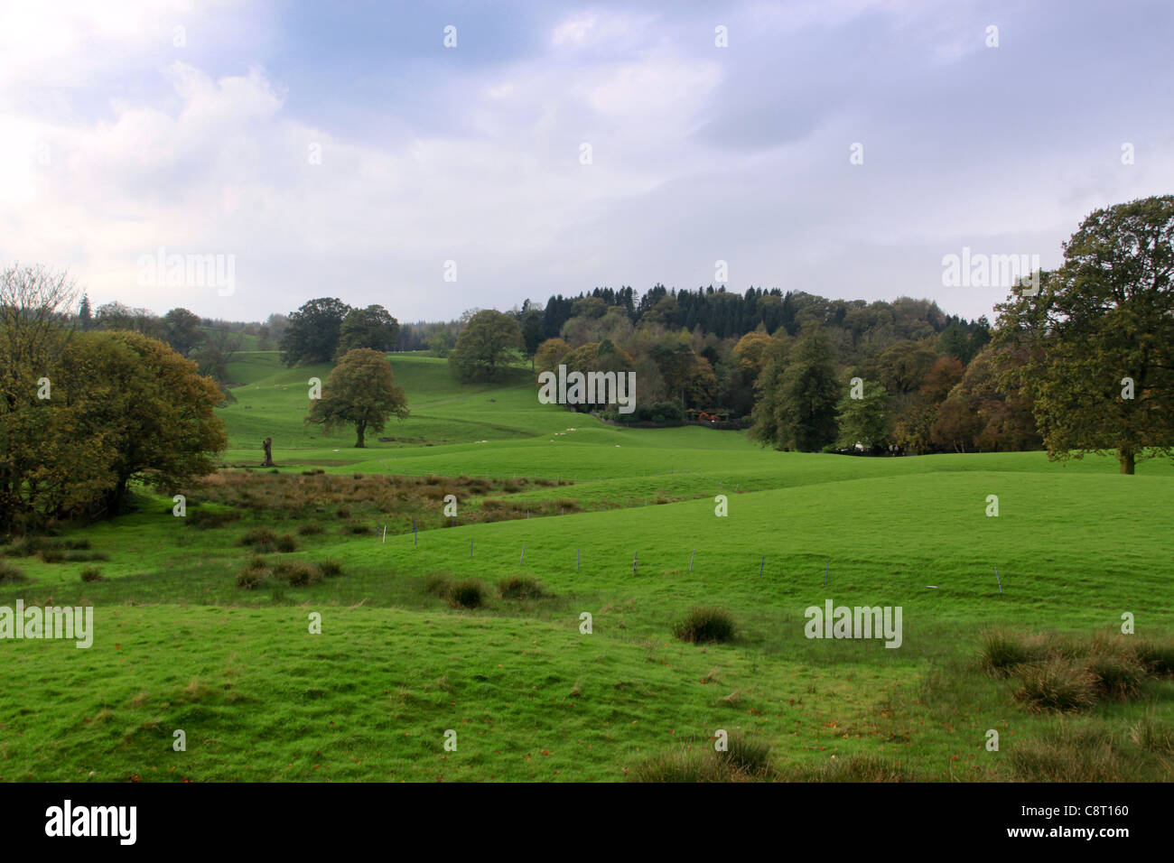 The English Countryside, The Lake District, United Kingdom, UK, Great Brittan, England, Stock Photo
