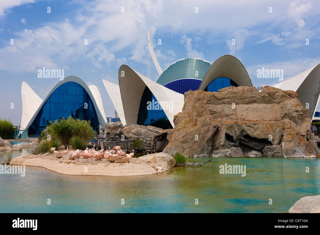 Oceanografic Aquarium. City of Arts and Sciences, Valencia, Spain. Stock Photo