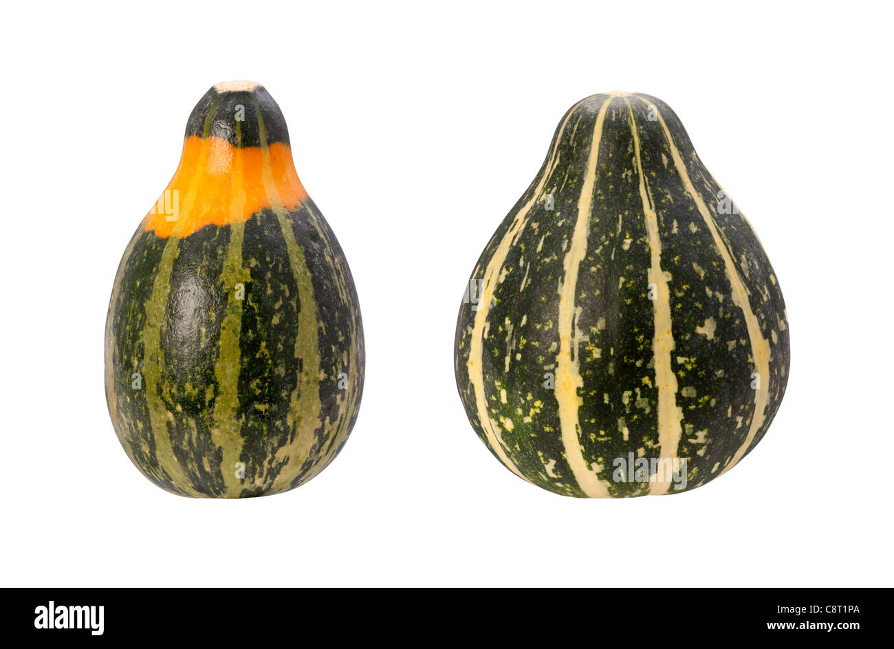 Colorful Autumn Gourds Isolated on a white background. Stock Photo