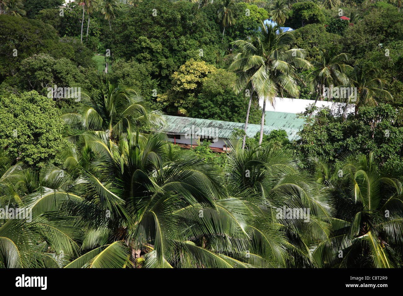 houses on San Andres, Colombia Stock Photo Alamy