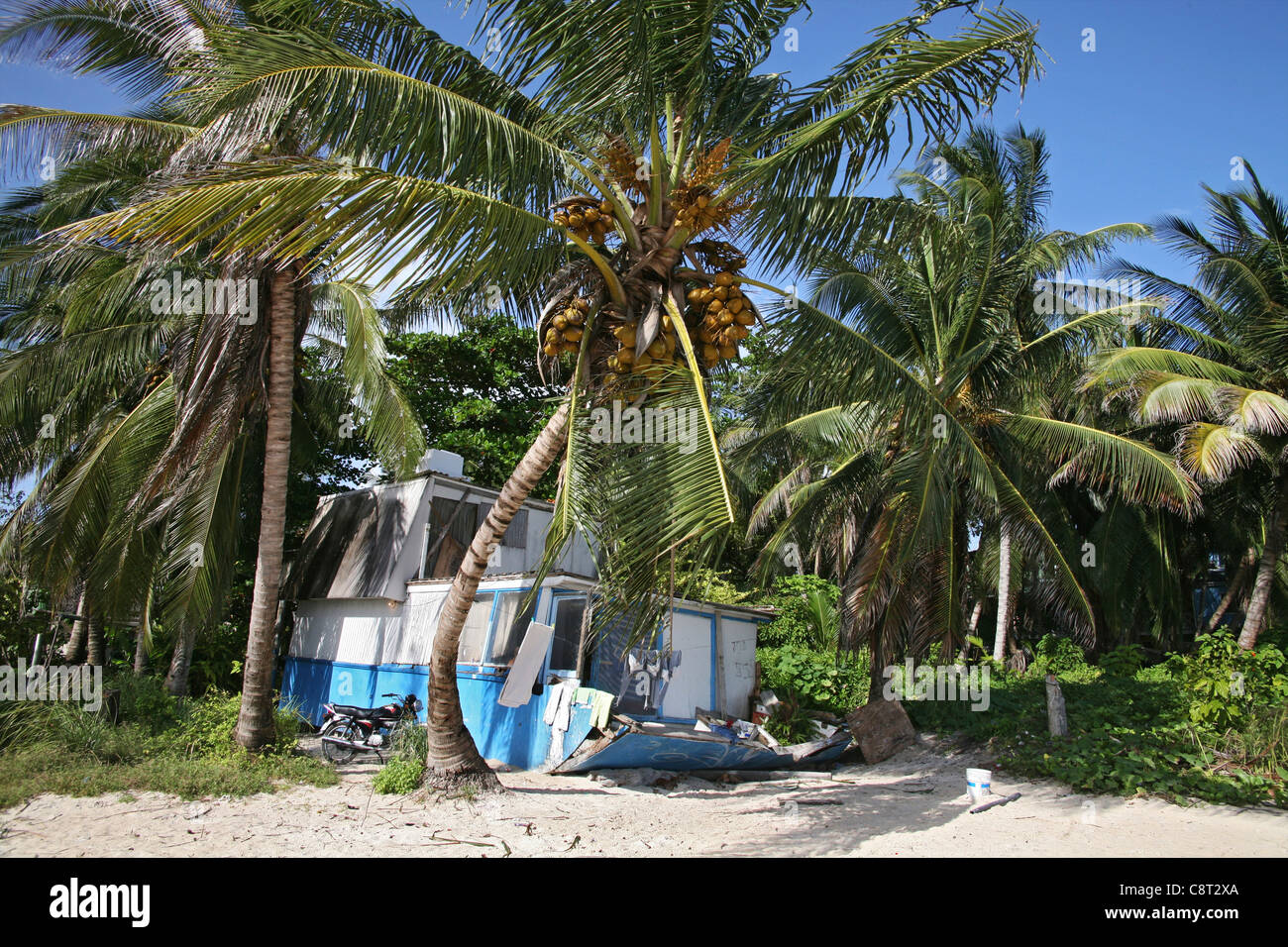 houses on San Andres, Colombia Stock Photo Alamy