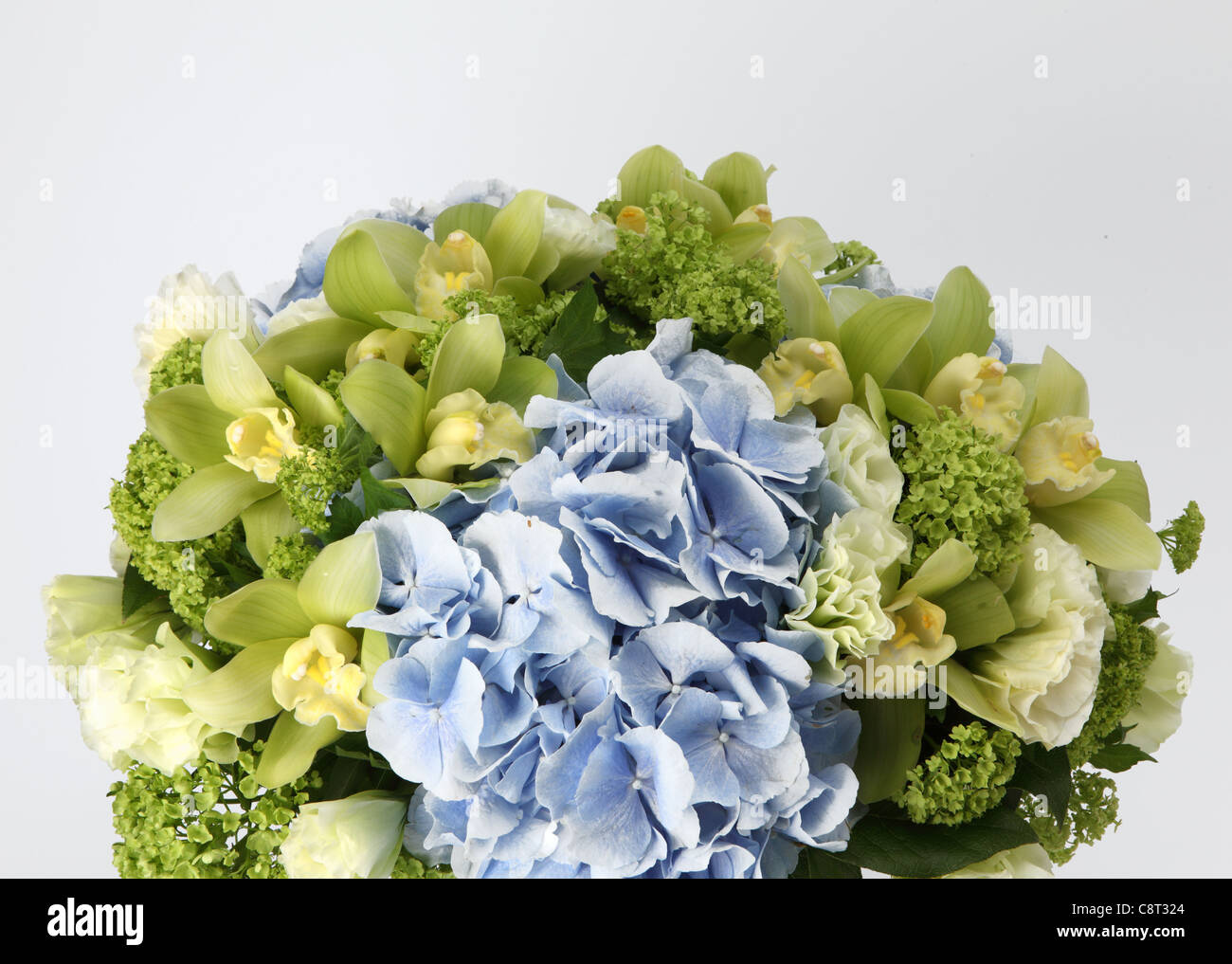 A close-up of a colorful bouquet of flowers. A blue hydrangea, small green hydrangeas and pale green cymbidium orchids. Stock Photo