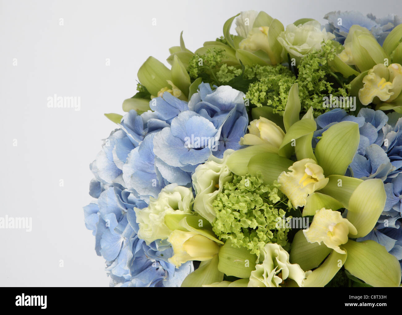 A close-up of a colorful bouquet of flowers. A blue hydrangea, small green hydrangeas and pale green cymbidium orchids. Stock Photo