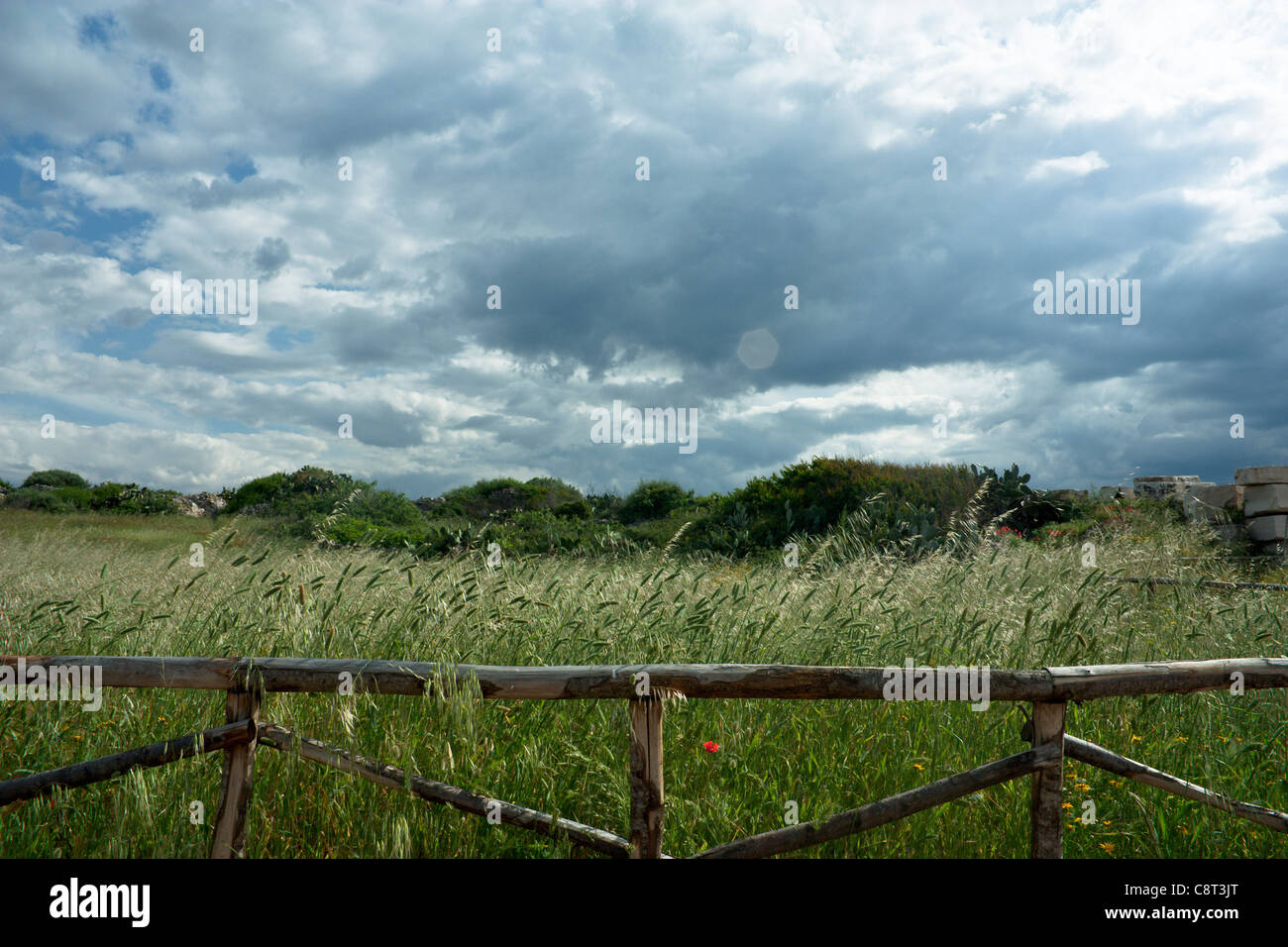 Wooden Fence with Grass Field Stock Photo