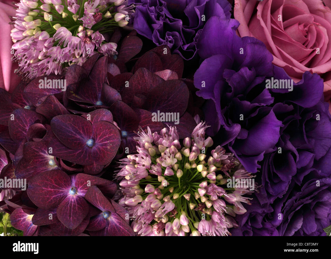 Bouquet flowers hi-res stock photography and images - Alamy