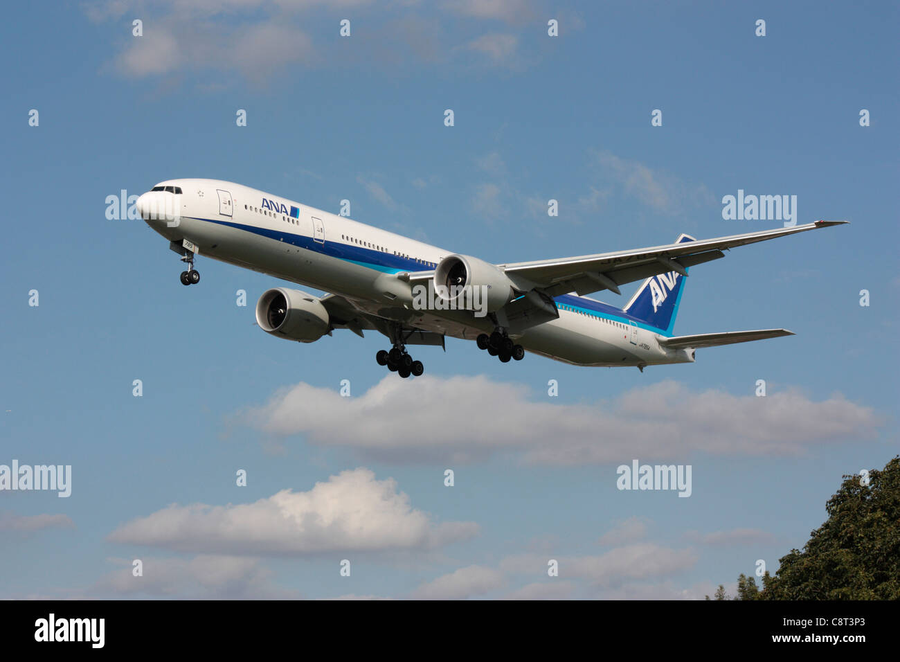 ANA Boeing 777-300ER long haul widebody passenger jet plane on approach to London Heathrow Stock Photo