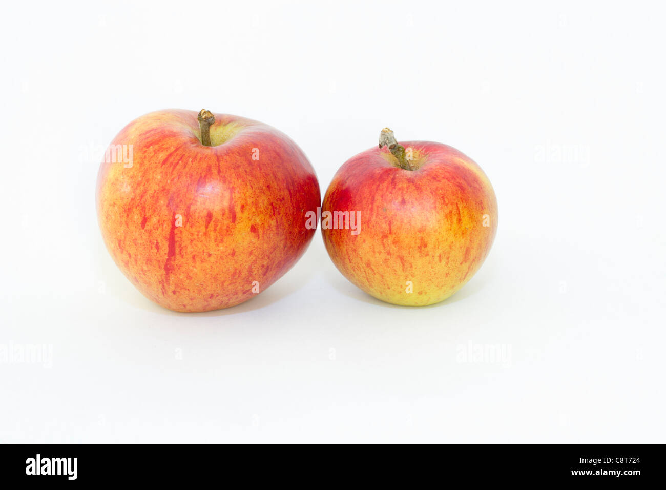 Red Pippin or Fiesta apples on white background Stock Photo
