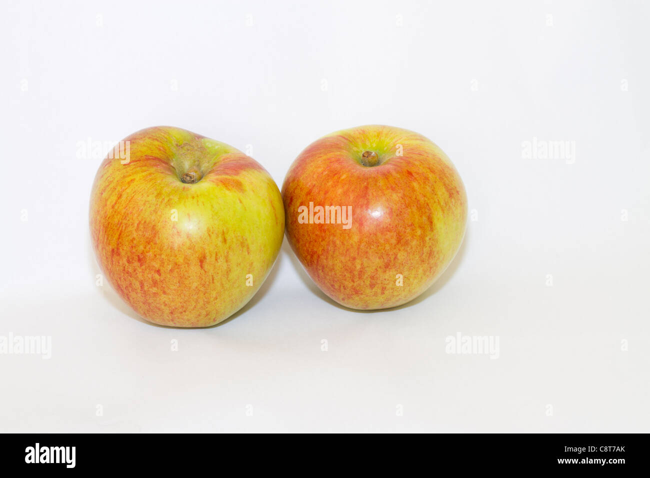 Howgate Wonder apples on white background Stock Photo