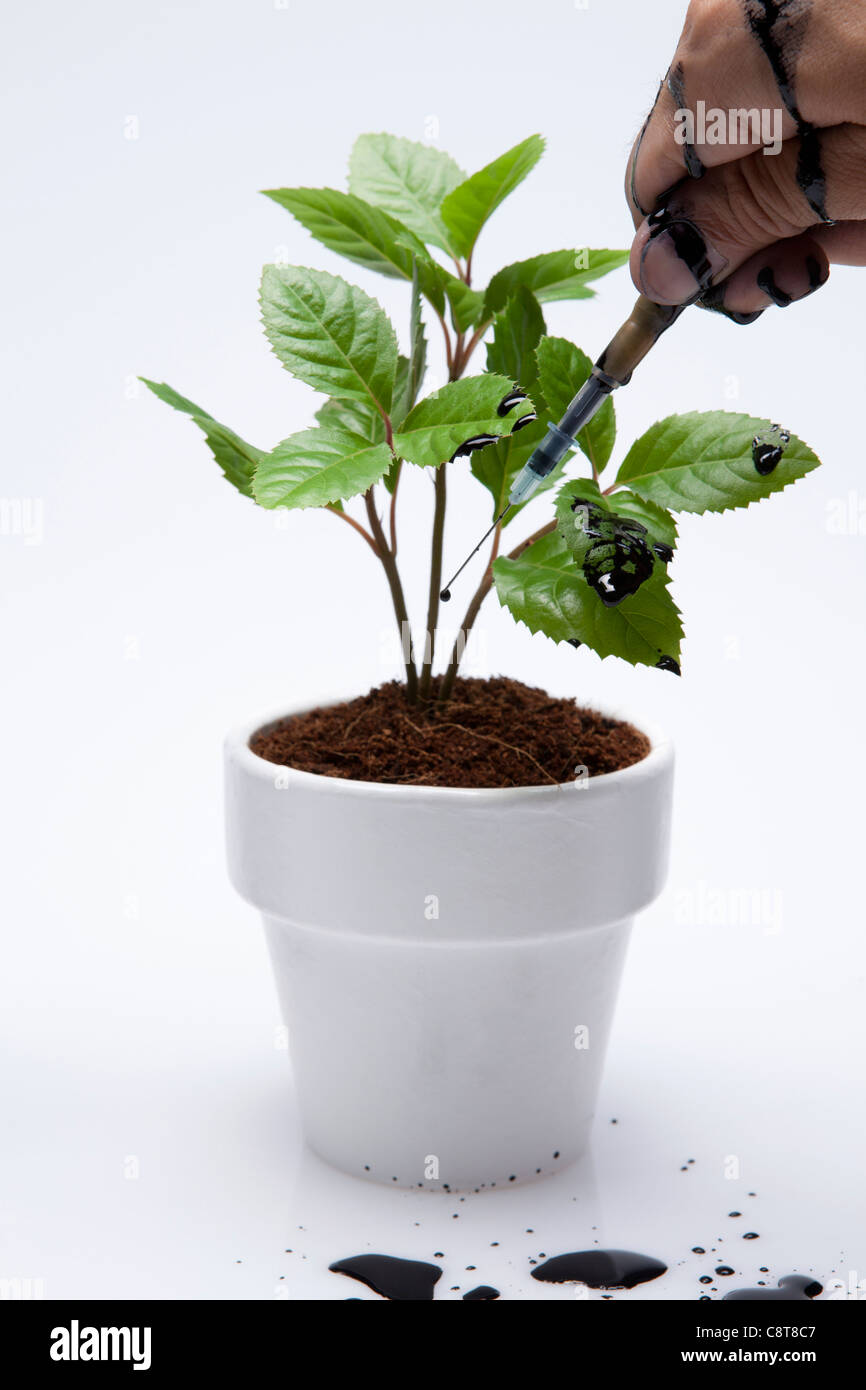 Human Holding Injection And The Plant Pot Stock Photo