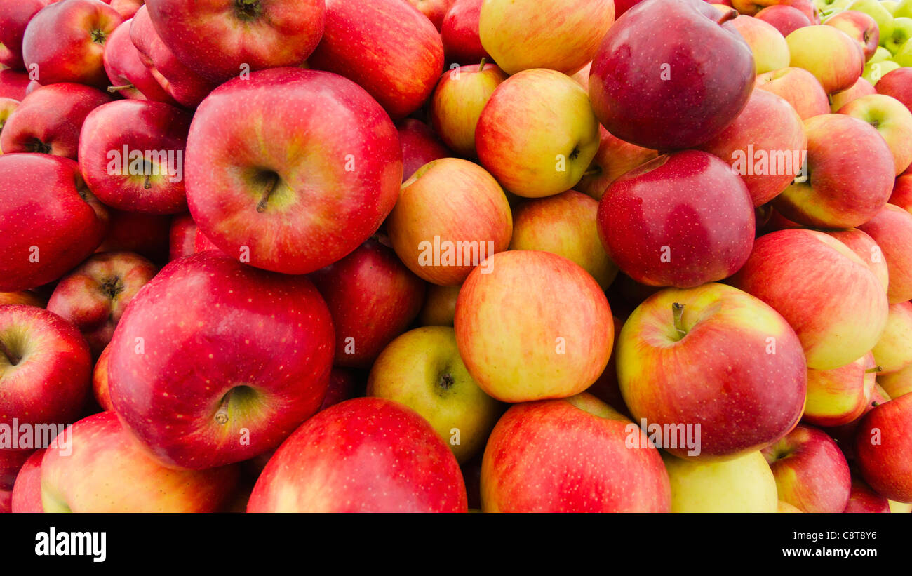 USA, New York City, Heap of apples Stock Photo Alamy
