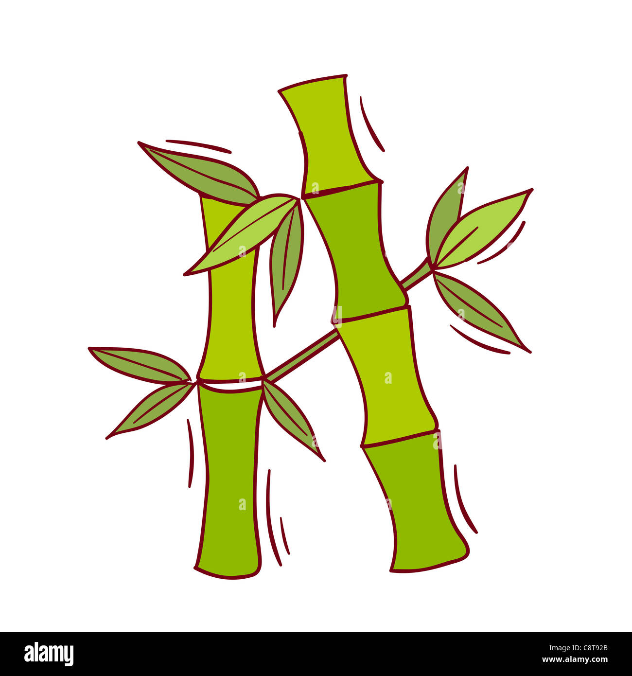 Illustration of bamboo shoot Stock Photo Alamy