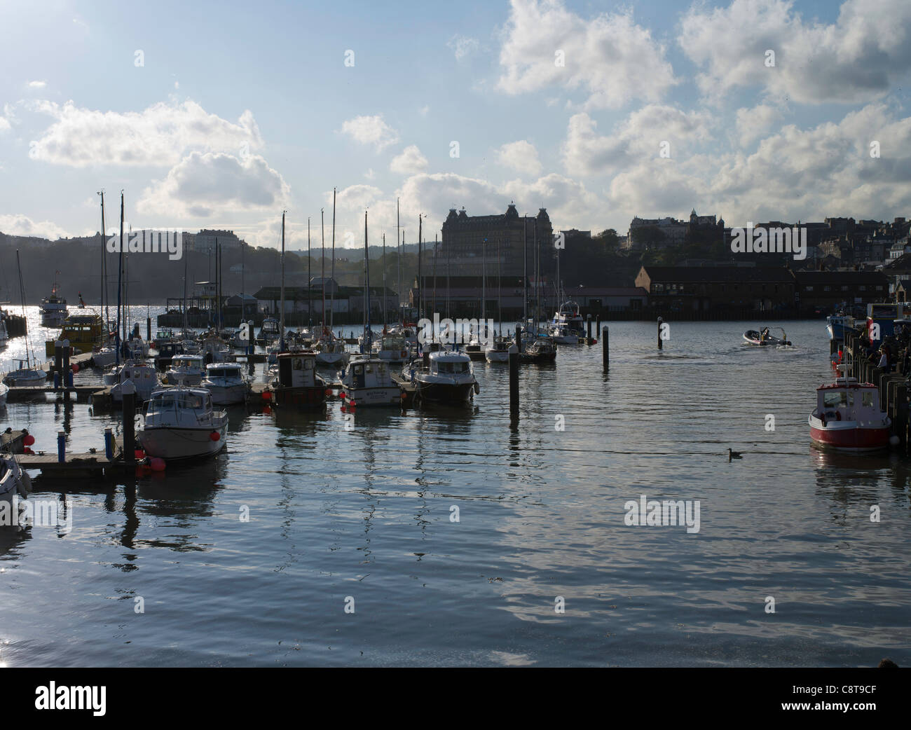 dh South Bay Harbour SCARBOROUGH NORTH YORKSHIRE Moored boats in Scarborough harbor sea uk Stock Photo