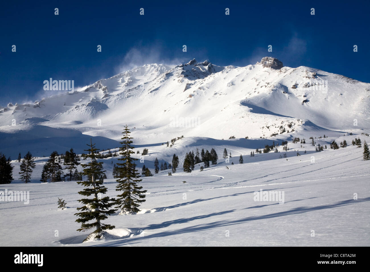 CA01075-00...CALIFORNIA - Mount Shasta from the Bunny Flats area in Shasta National Forest. Stock Photo