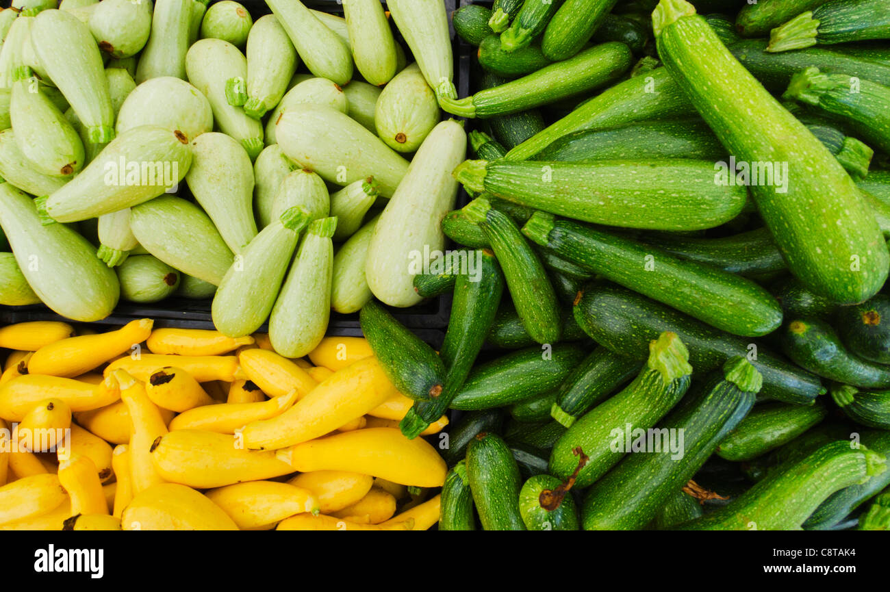USA, New York City, Heap of zucchini and squash Stock Photo Alamy