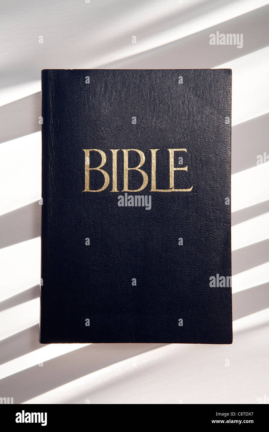 Medium Bible Cover-Biblical Cover-Biblical Bag - Holy Bible Cover