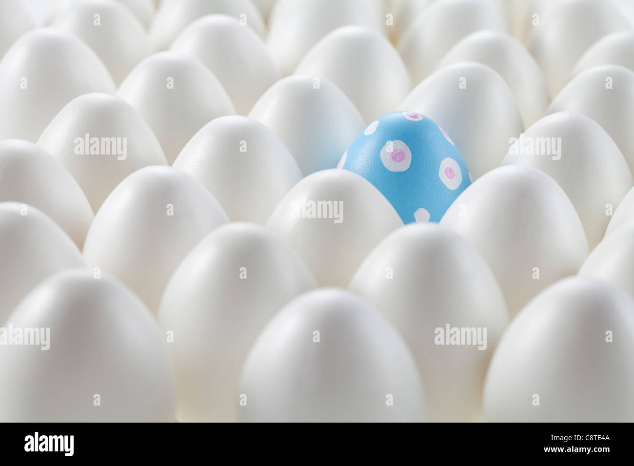 Blue pastel colored Easter egg among white eggs Stock Photo Alamy