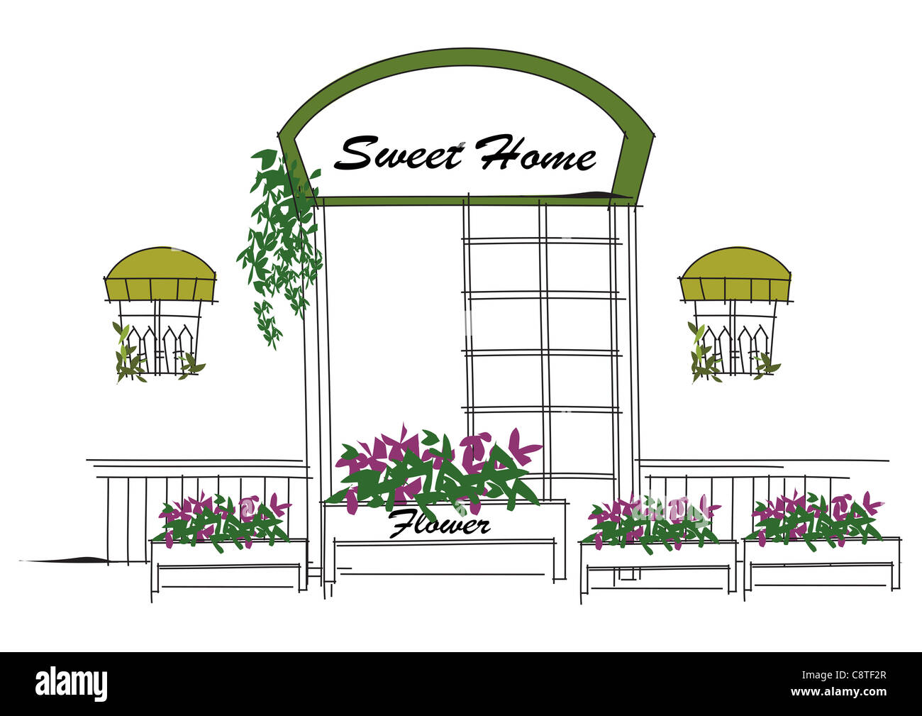 Potted Plant In Front Of Window Stock Photo Alamy