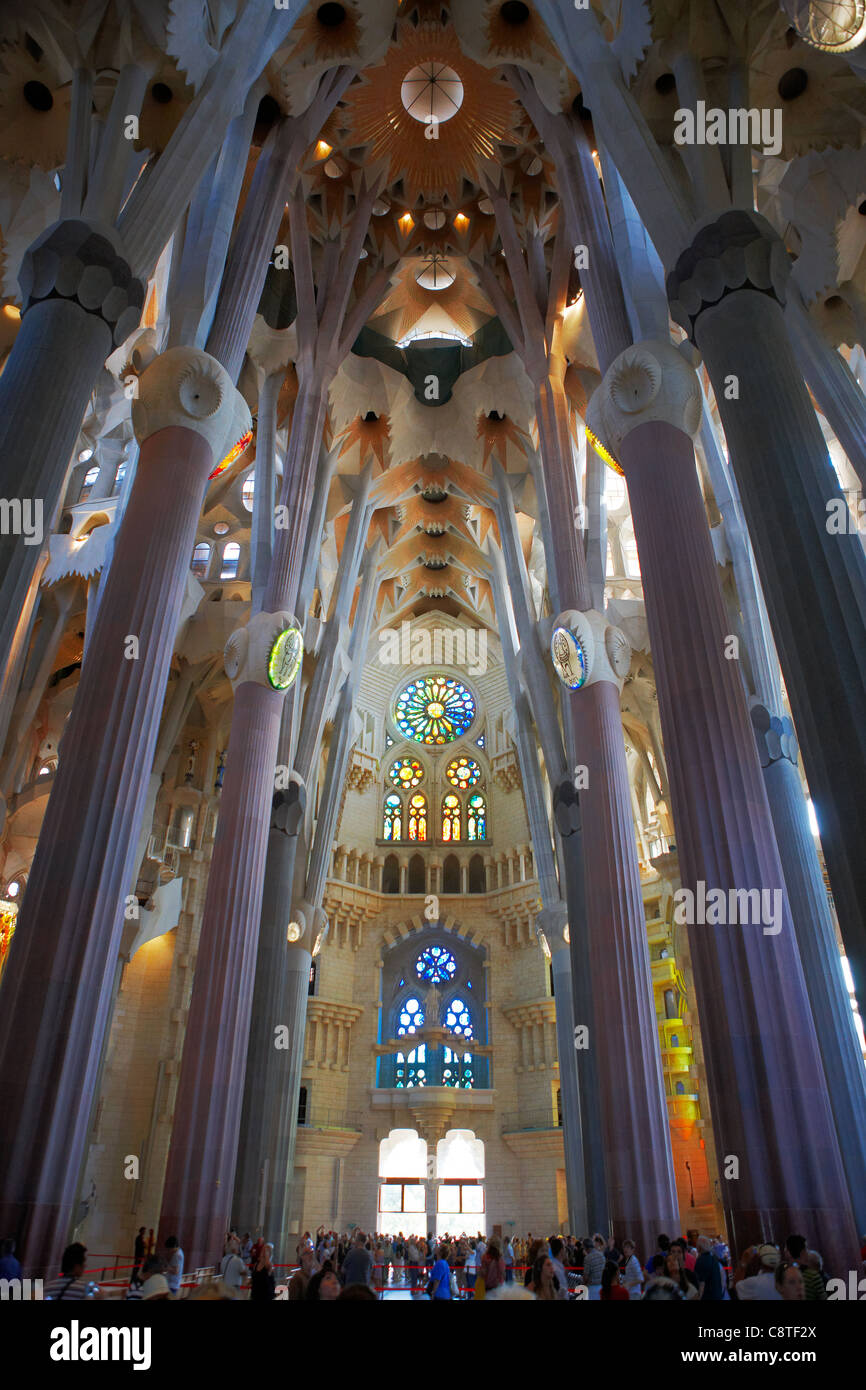 Sagrada familia ceiling hi-res stock photography and images - Alamy