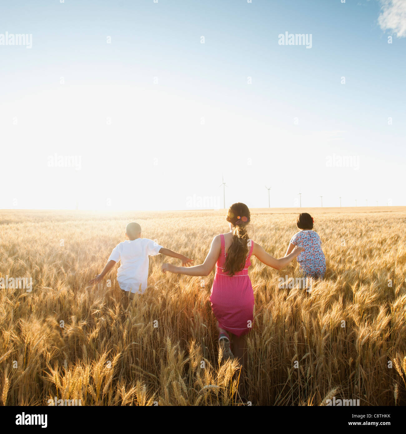USA, Oregon, Wasco, Girls and boy walking though wheat field Stock Photo