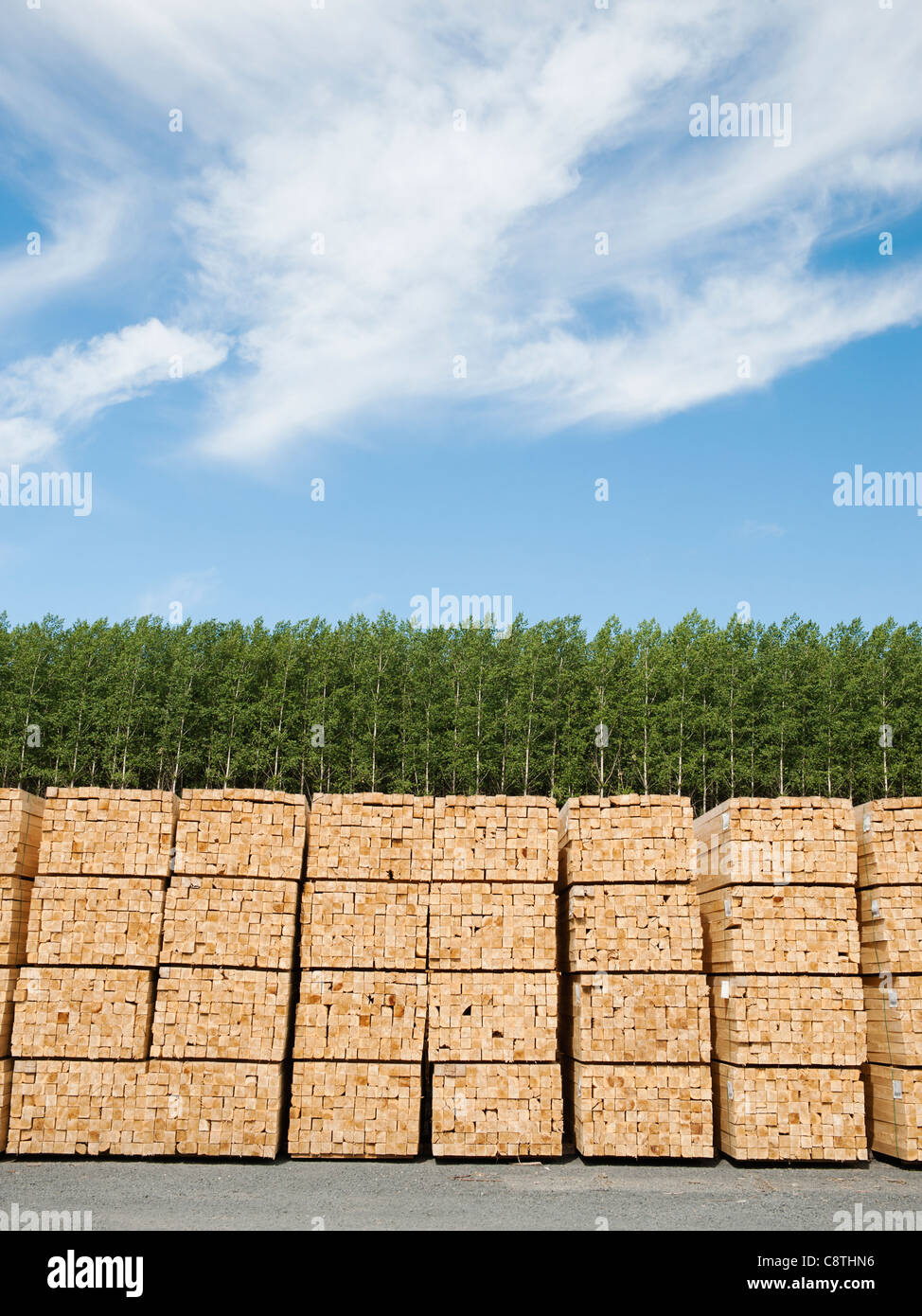 USA, Oregon, Boardman, Orderly stacks of timber in timber plantation