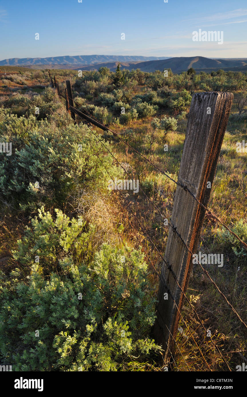Barbed wire fence in desert hi-res stock photography and images - Alamy